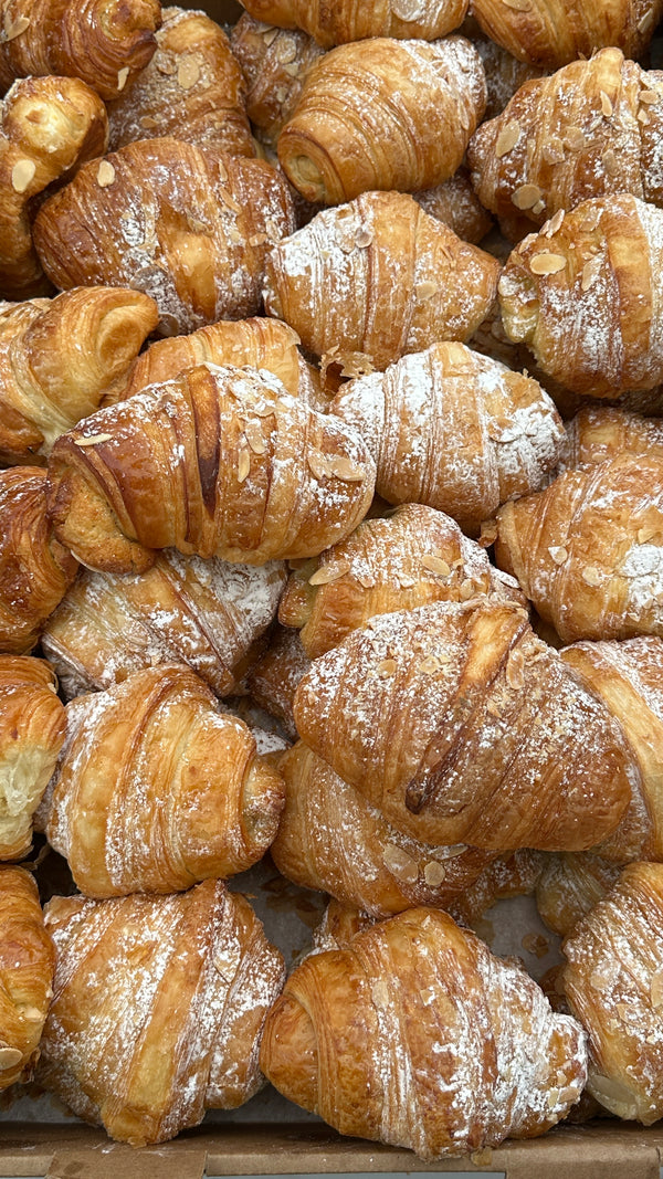 Fresh powdered almond croissants piled on a bakery tray